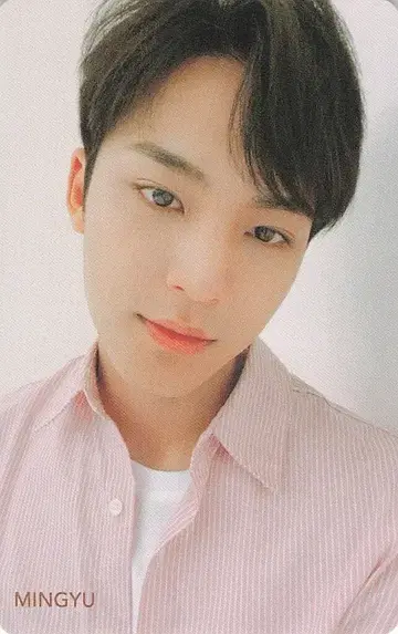 세븐틴 HMV 민규 흩날리는 꽃잎 셀카