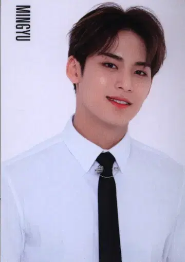 SEVENTEEN 2019 Happy Ending SHOWCASE 민규 트레이딩 카드 0036