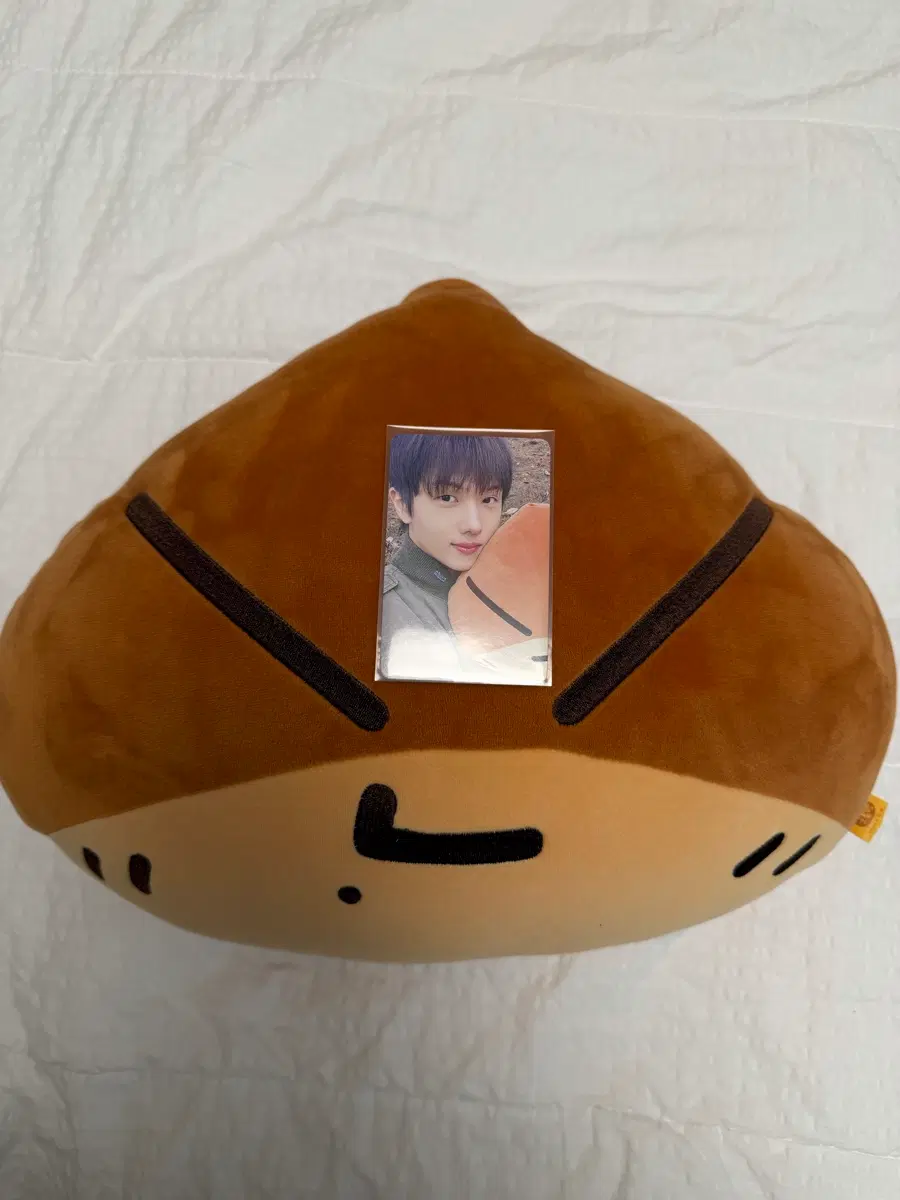 (포카포함)엔드림지성군밤맨쿠션양도