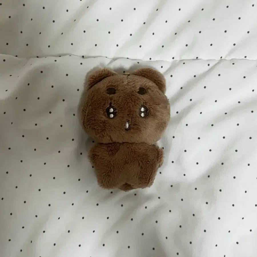 뽀바투 (급처)