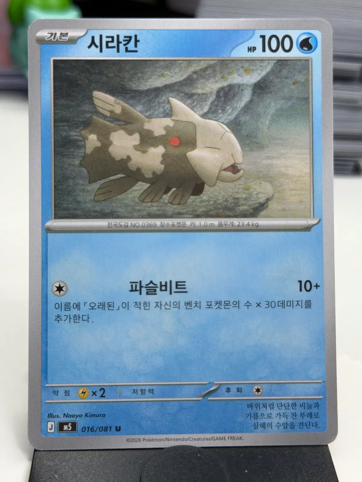 시라칸 M5 016/081 U (400)원