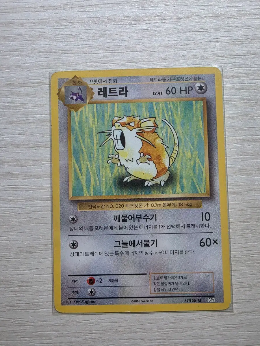 포켓몬카드 20주년 CP6 레트라