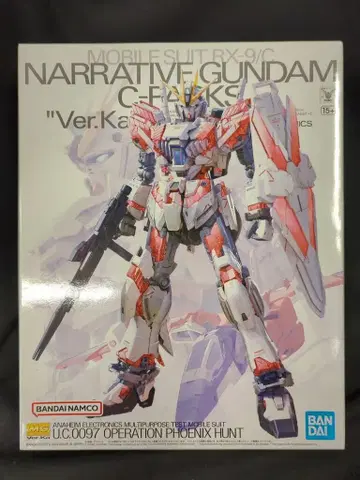 BANDAI SPIRITS MG 1/100 기동전사 건담 NT 내러티브 건담 C 장비 Ver.Ka