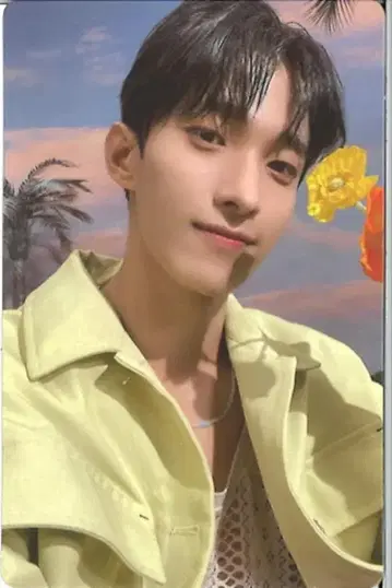 세븐틴 뉴 비기닝 DK 섹터17 핑크 노랑