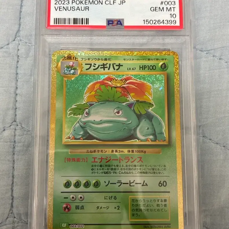 포켓몬카드 일판 psa10 이상해꽃