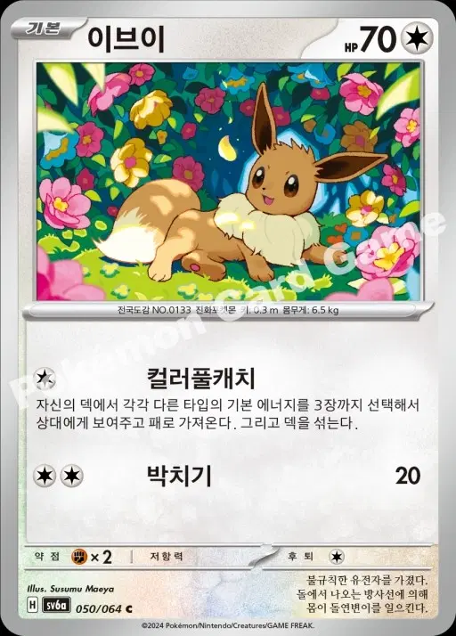 포켓몬카드 플라워 이브이