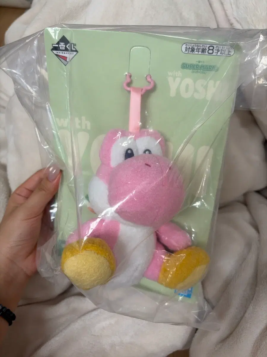 요시 쿠지 b상