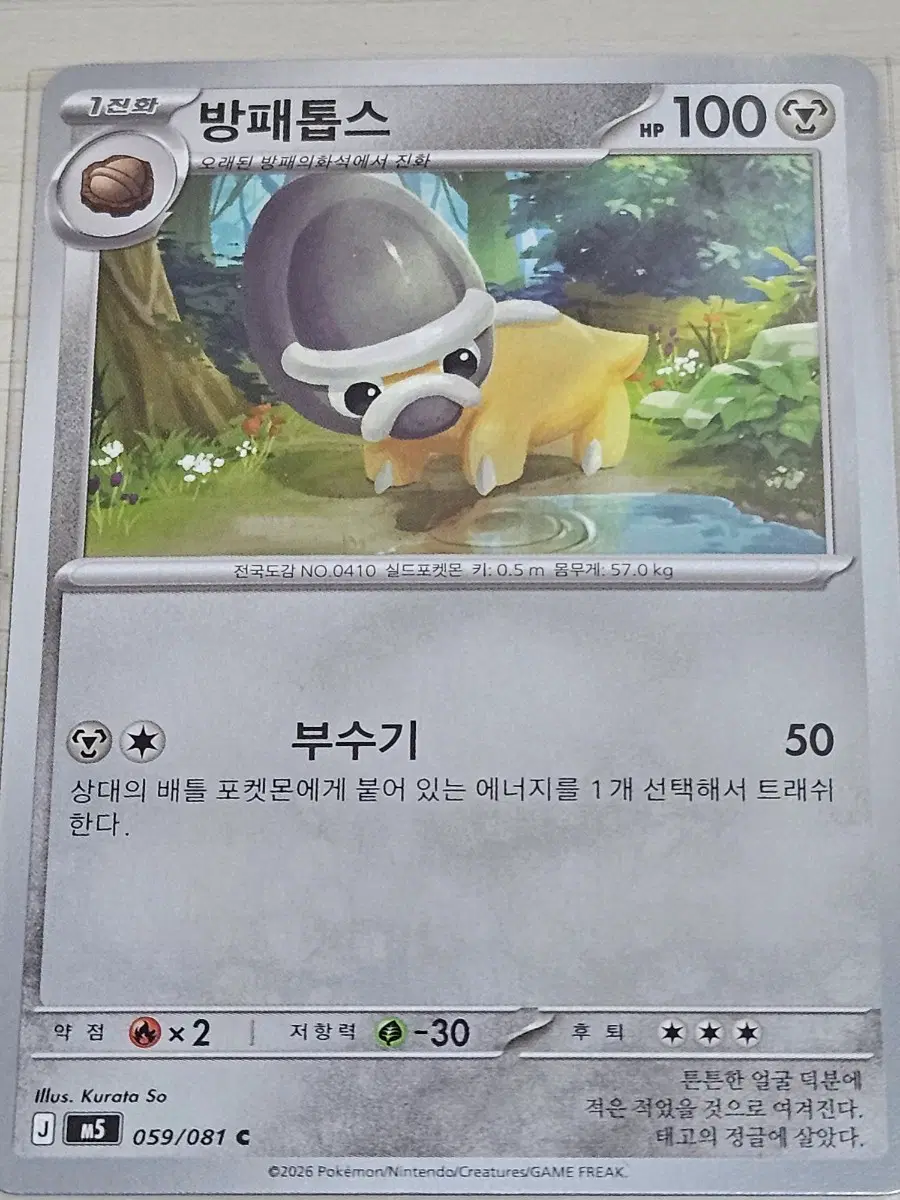 [득템] 포켓몬 카드 방패톱스