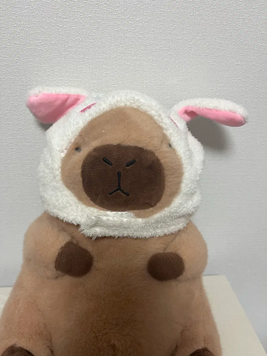 카피바라 인형 급처