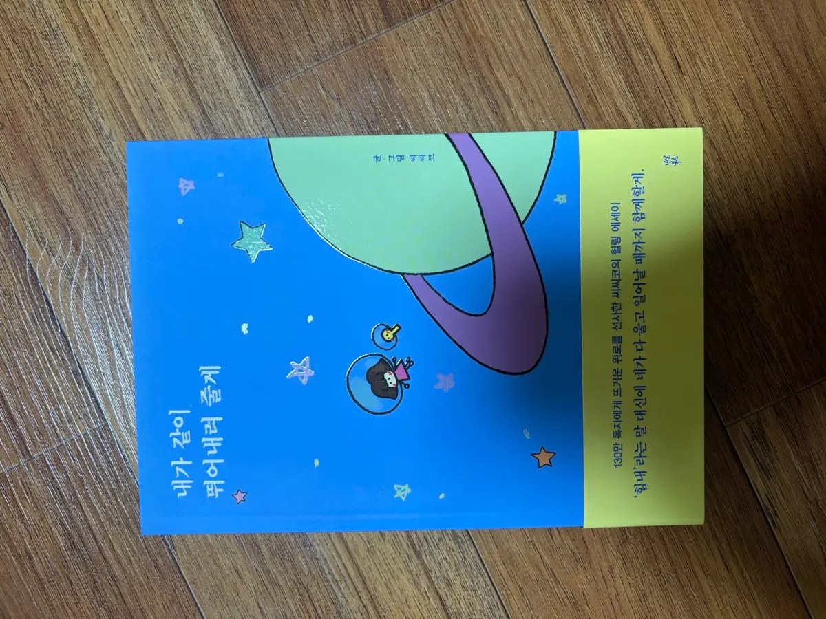 씨씨코 내가 같이 뛰어내려 줄게 에세이