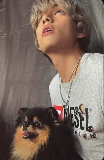 BTS V LAYOVER ver1
