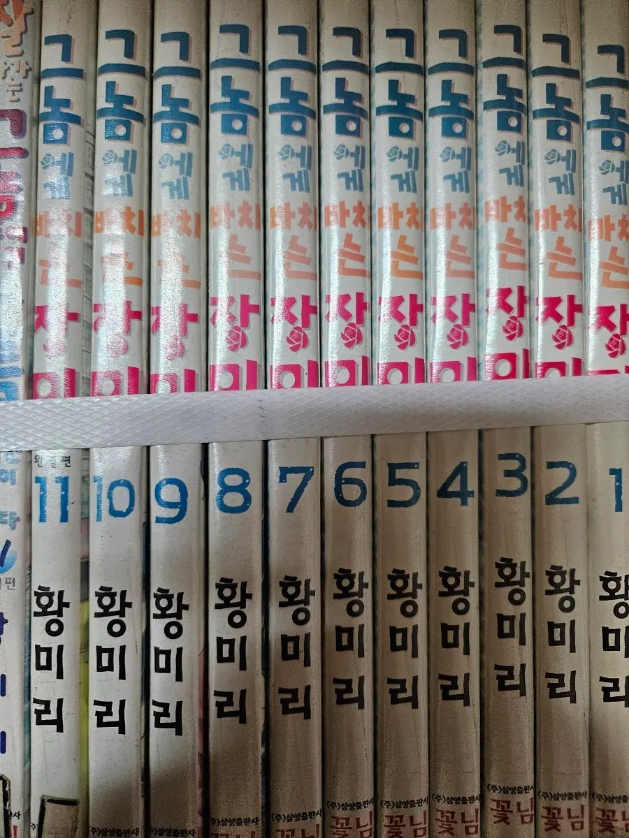 그놈에게바치는장미1-11완