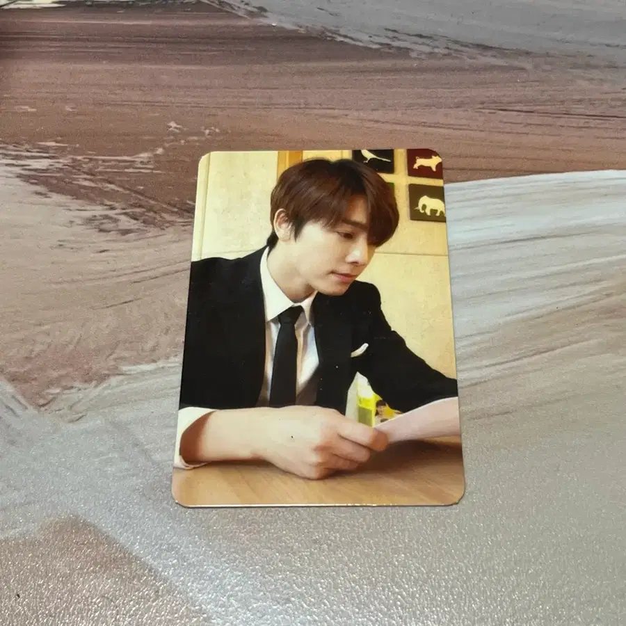슈퍼주니어 동해 포토카드