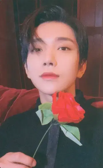 SEVENTEEN THE STORY OF Eros JOSHUA 트레이딩 카드