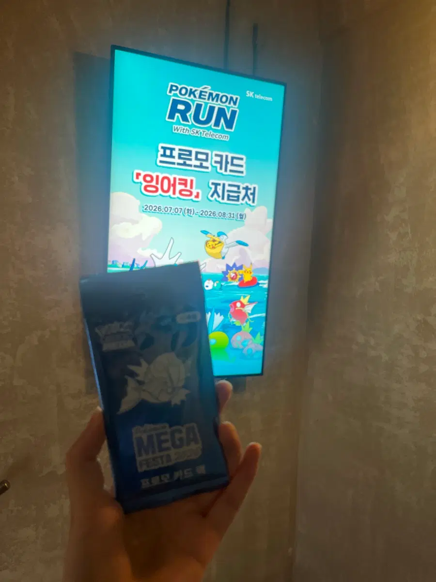 포켓몬 카드