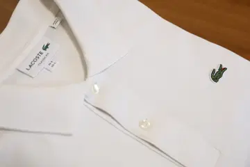 코스테 피케 셔츠 무지 반팔 화이트 클래식 핏