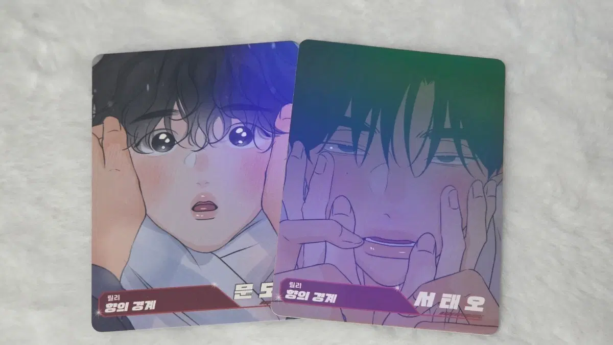 레진공 레진수 트레이딩카드 향의경계 세트 항경