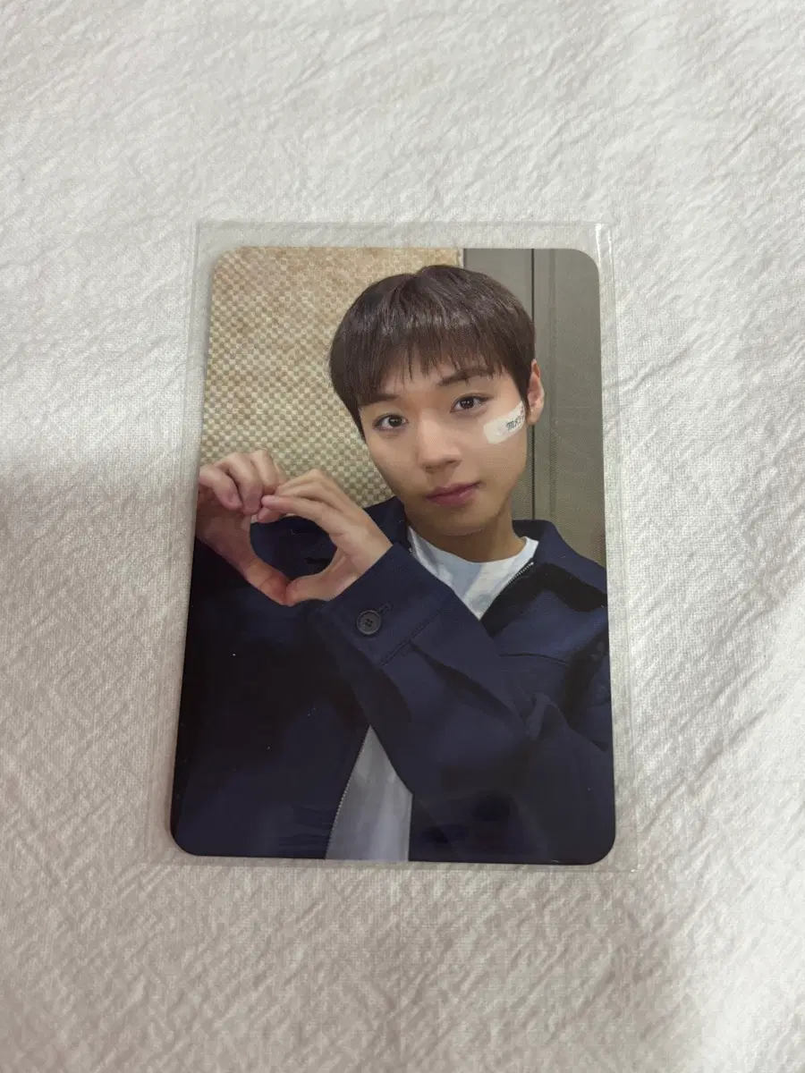 박지훈 위드뮤 미공포