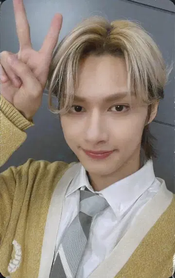 SEVENTEEN Weverse JAPAN JUN FML 별