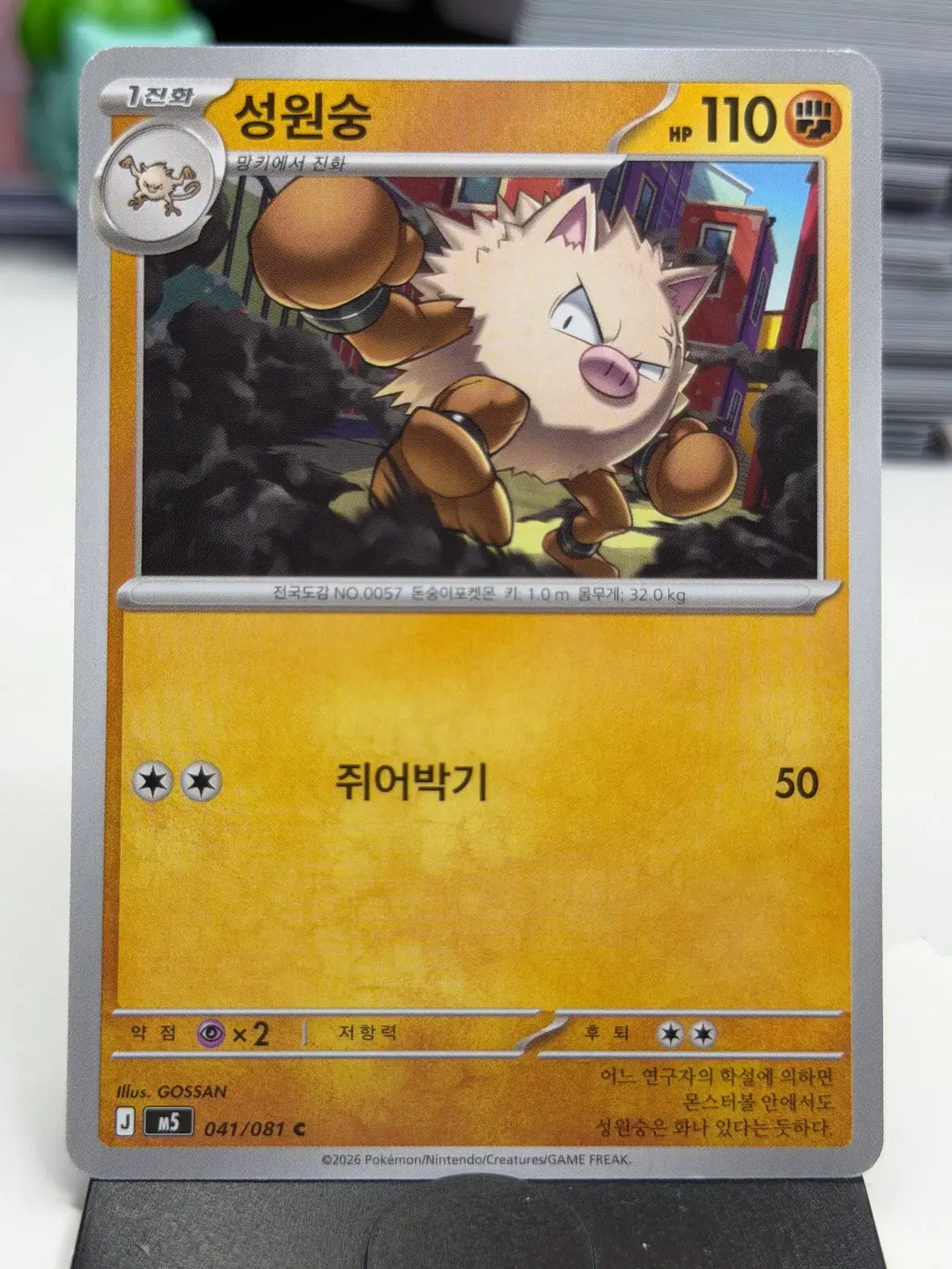 성원숭 M5 041/081 C (300)원