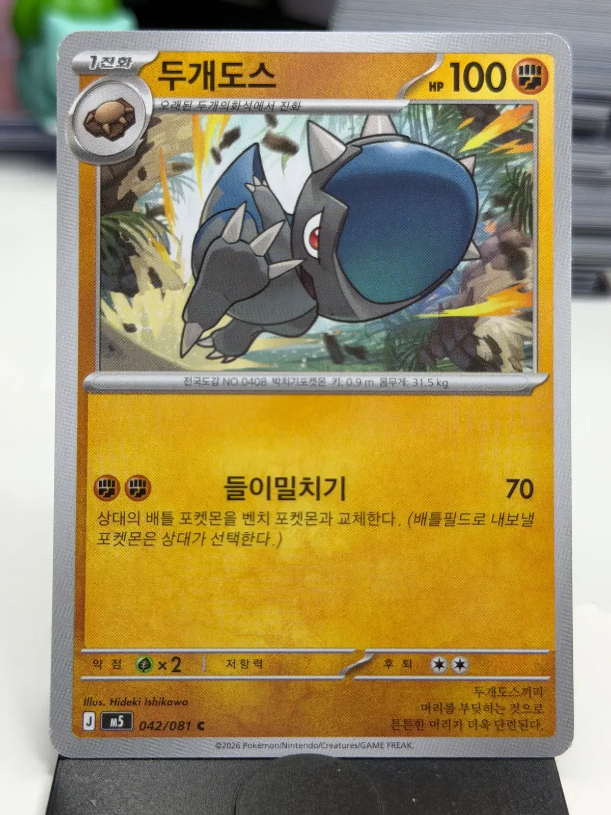 두개도스 M5 042/081 C (300)원
