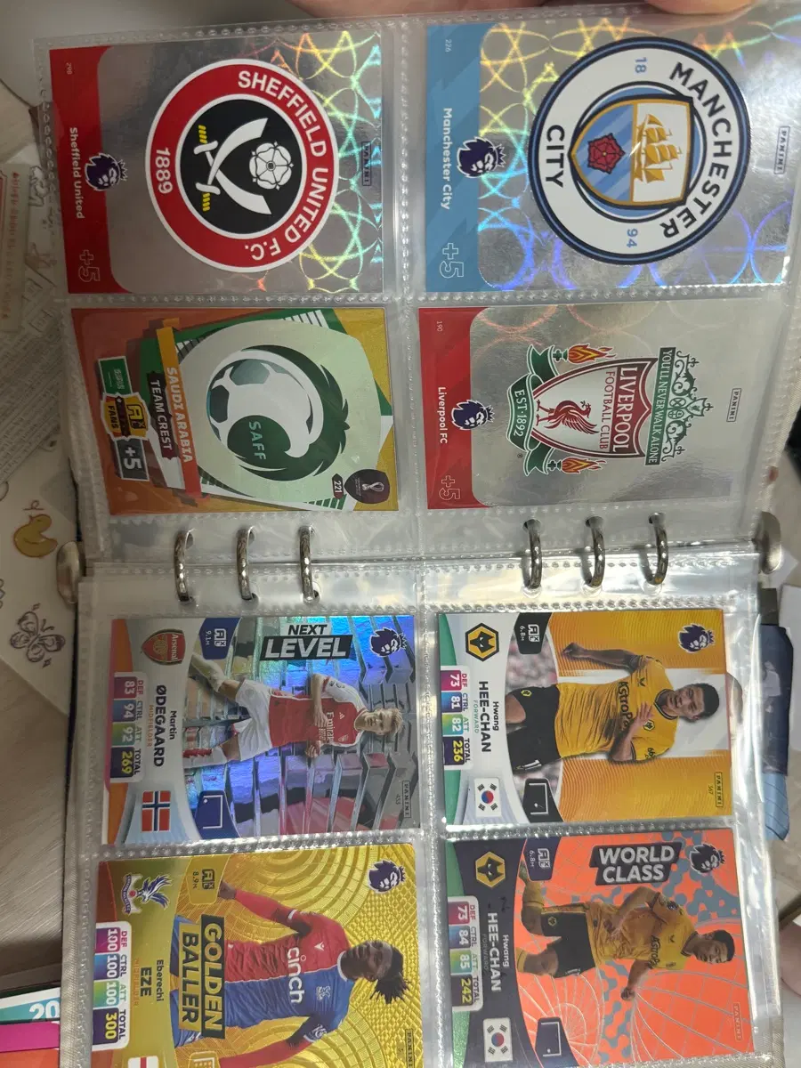 파니니 2024 축구 카드 일괄 판매 15,000원