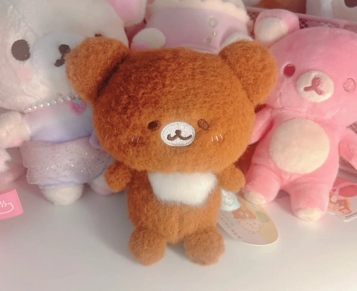 차이로이코구마 호냐구루미 인형