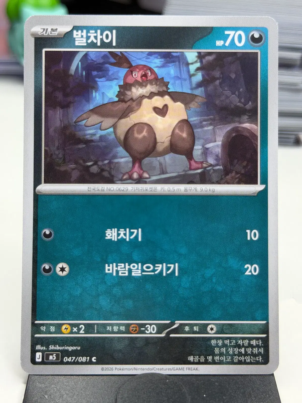 벌차이 M5 047/081 C (300)원