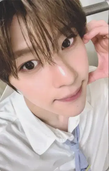 NCT WISH 50000W 구매 혜택 SION Steady MD
