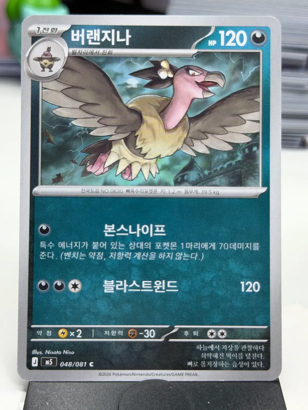 버랜지나 M5 048/081 C (300)원