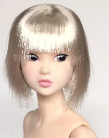 펫웍스 CCS-momoko 17AW PS