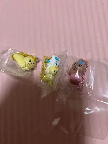 빤쮸토끼 x 뇸뇸이 초코가케 비스킷 3세트