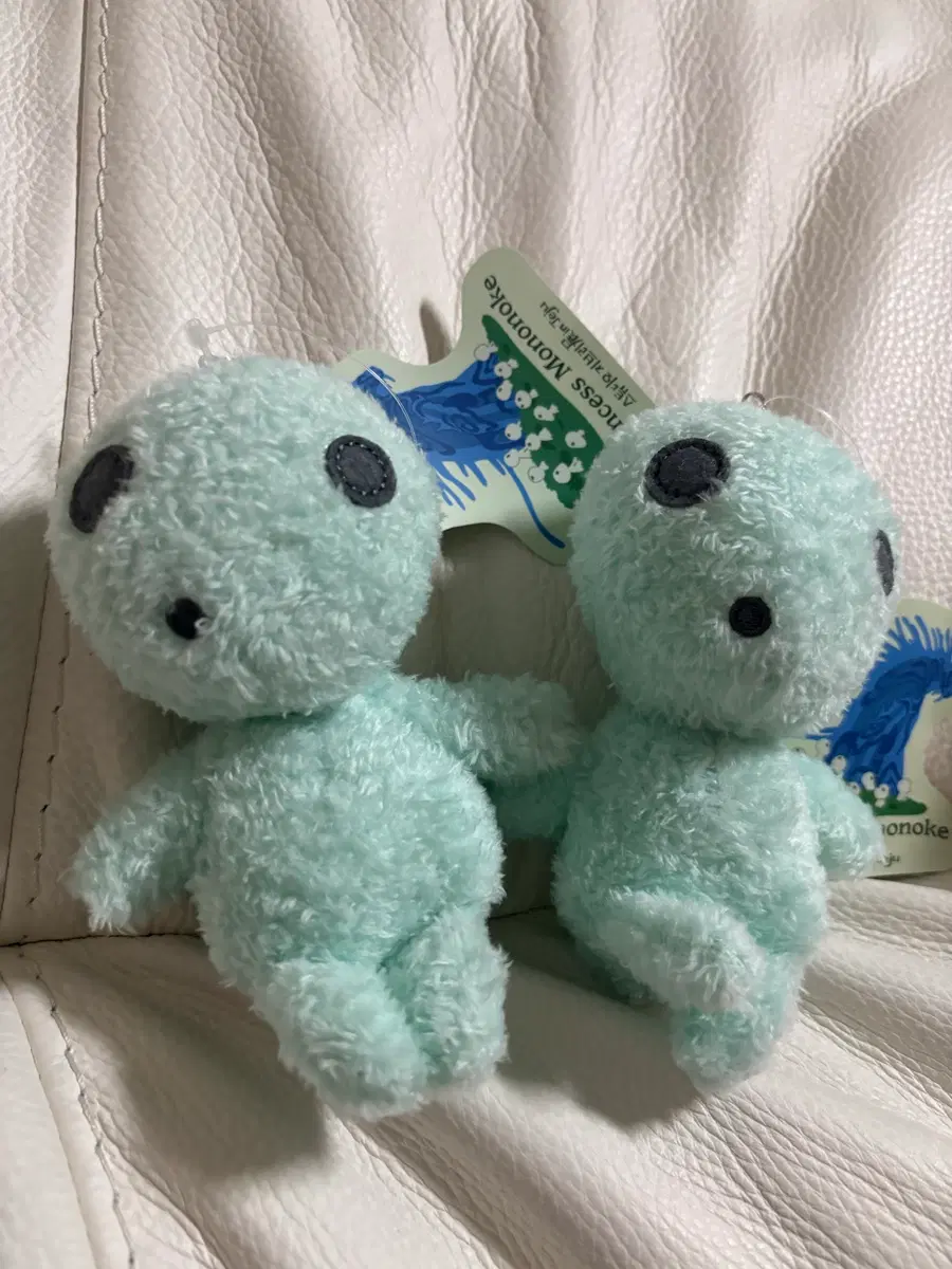 지브리제주 민트 고다마 및 특전