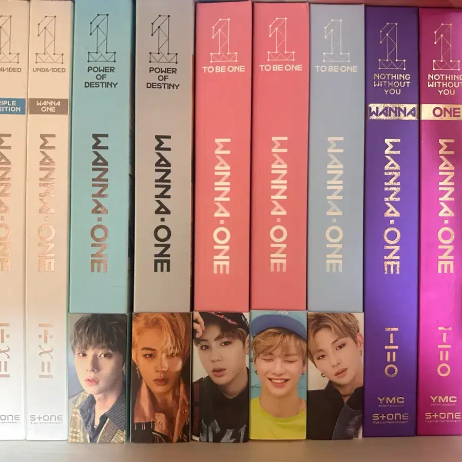 워너원 앨범 및 굿즈(강다니엘 인형)