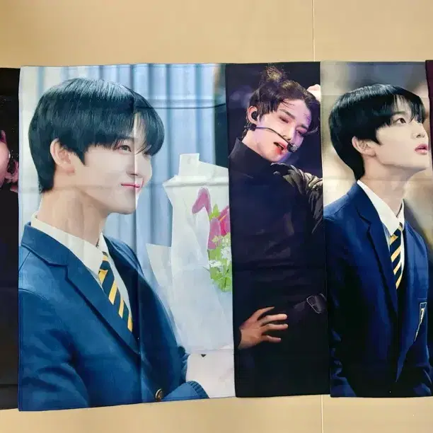 배진영 슬로건 반슬