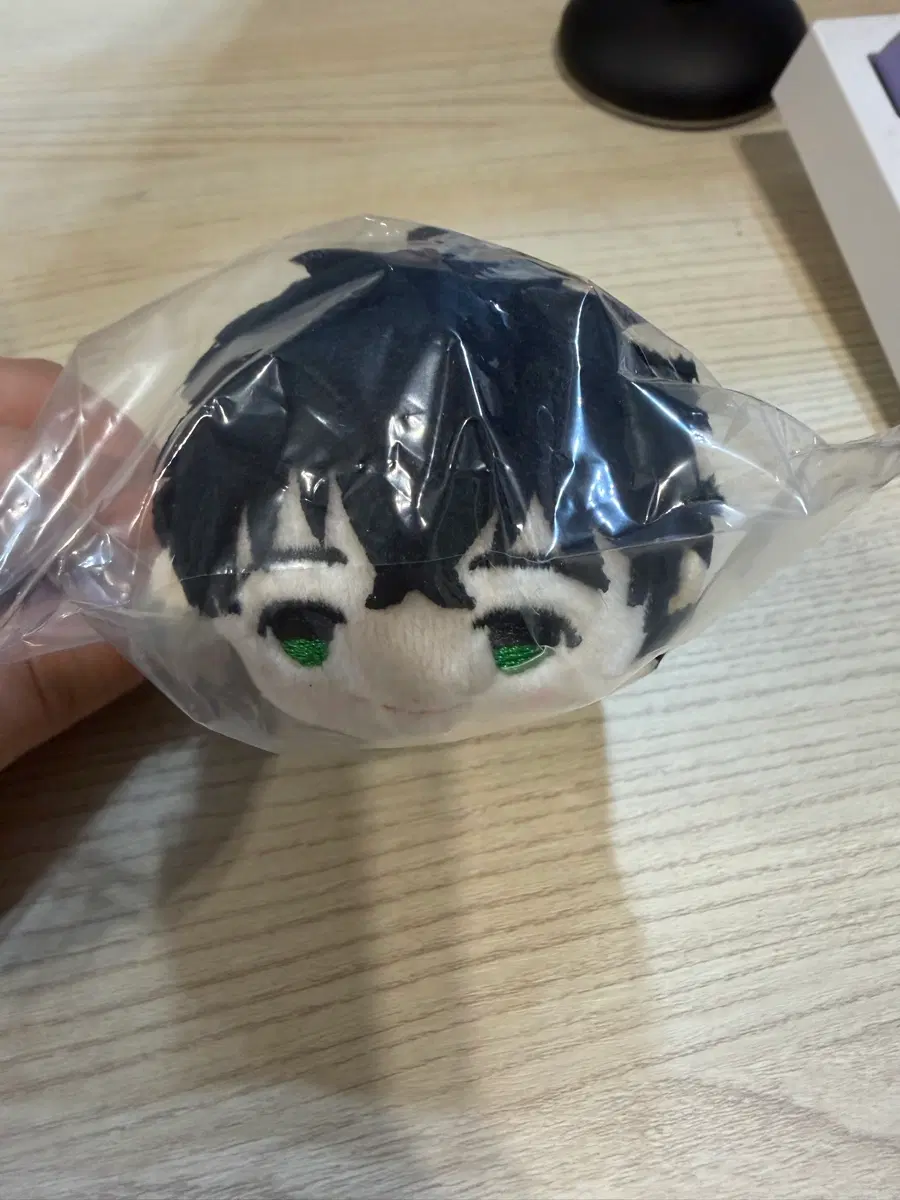 윈브레 토가메죠 인형 누이