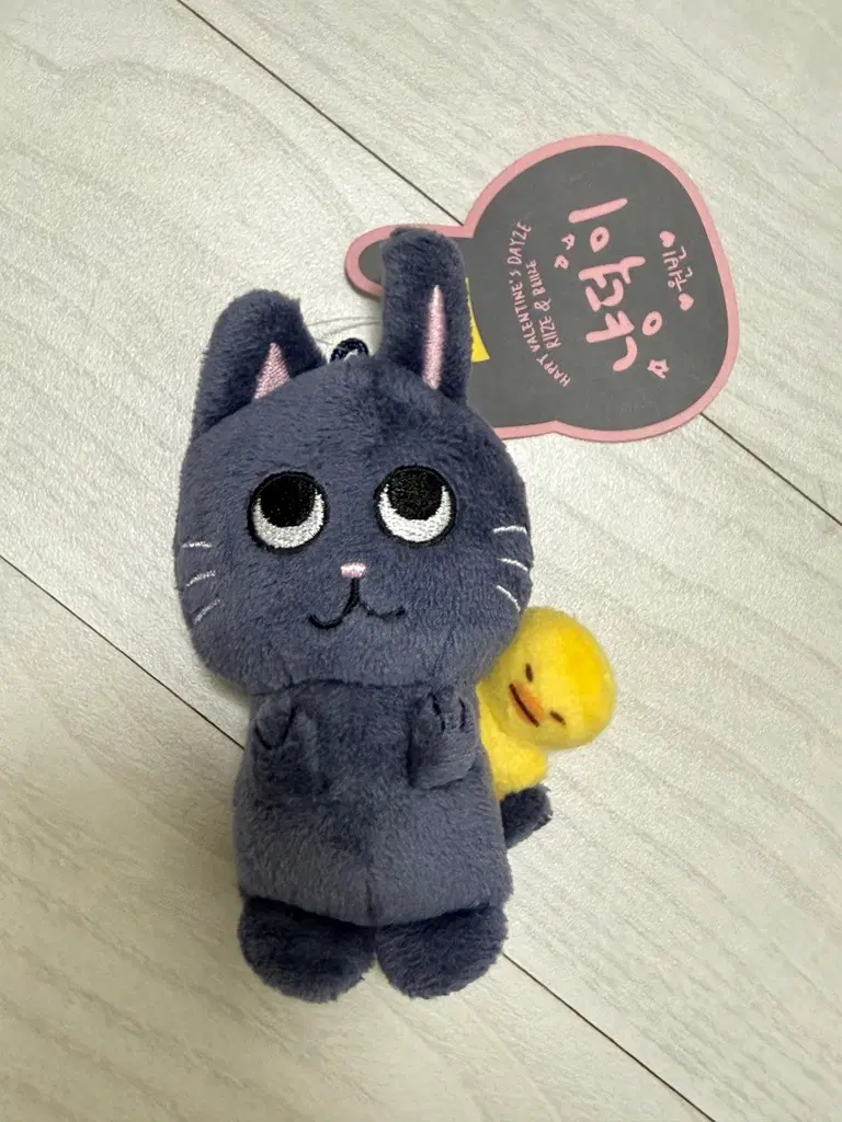 라이즈 RIIZE 1기 토냥덕 인형 키링 택O 군번줄O 상태최상