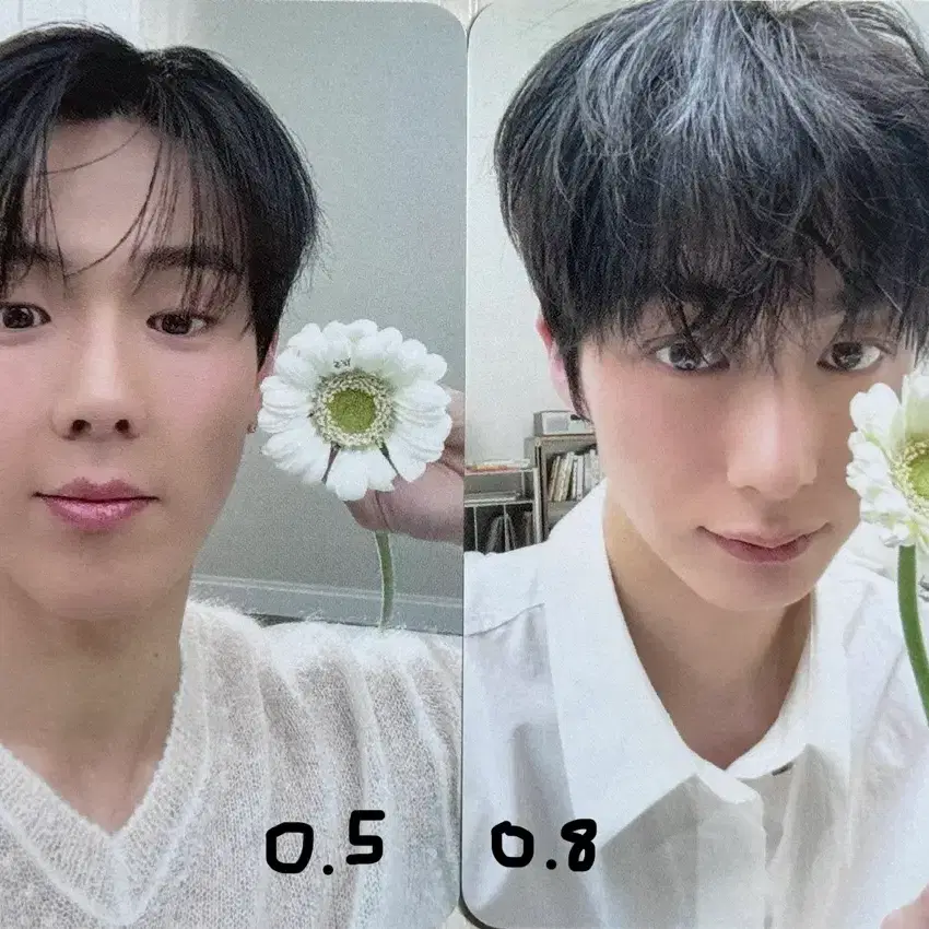 셔누 형원 유닛 포토카드 사운드웨이브 대면 특전 꽃 포카 판매합니다!