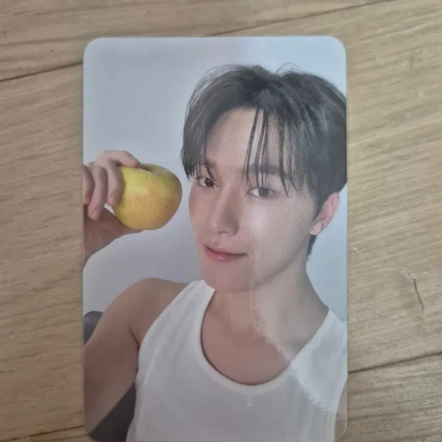 SVT 세븐틴 디노 포카 마에스트로 17 IS RIGHT HERE
