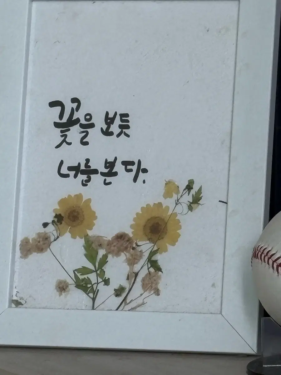 복싱 국대.체고 집업 삽니다