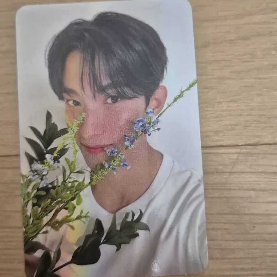 SVT 세븐틴 도겸 포카 마에스트로 17 IS RIGHT HERE