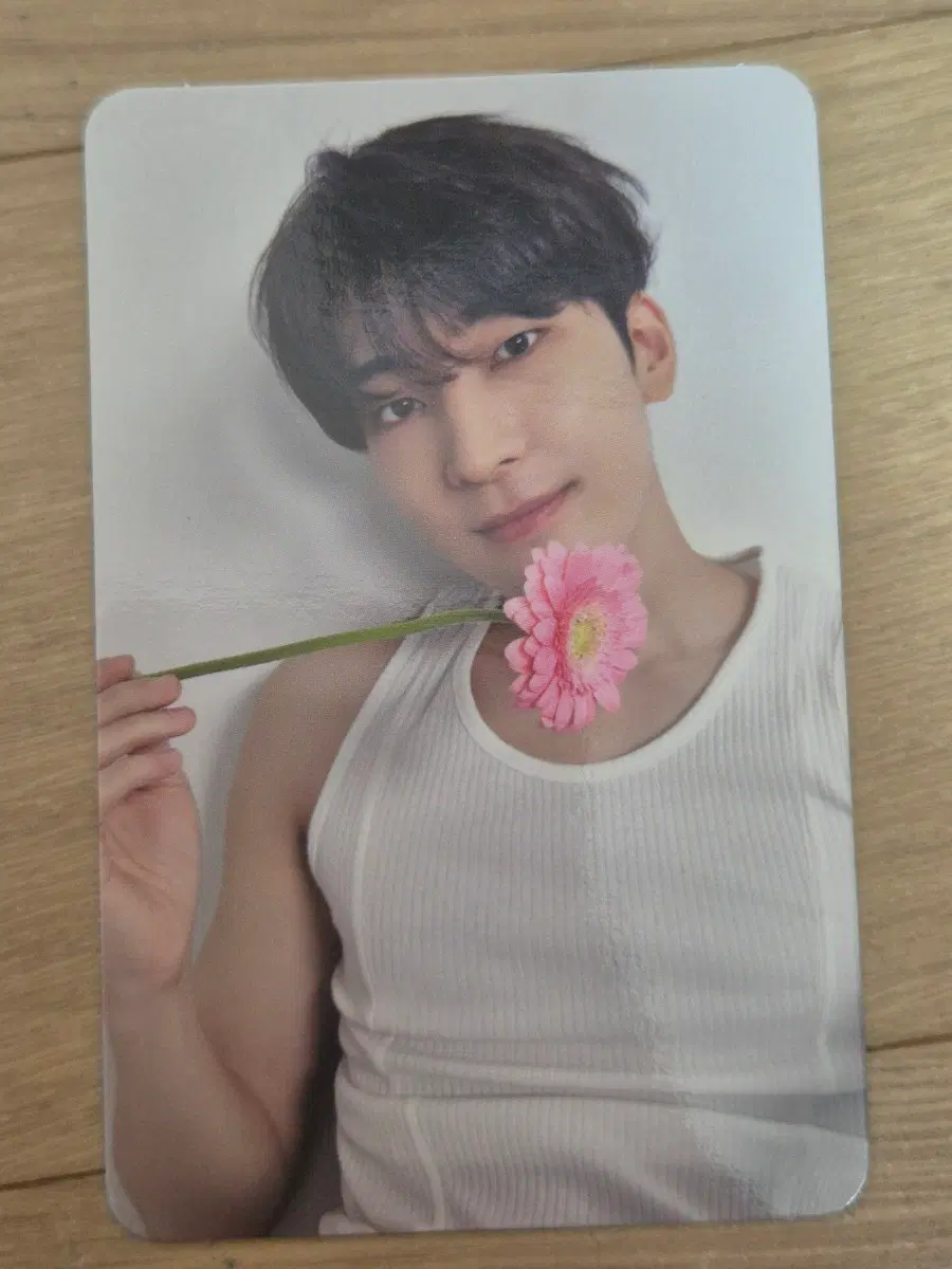 SVT 세븐틴 원은 포카 마에스트로 17 IS RIGHT HERE