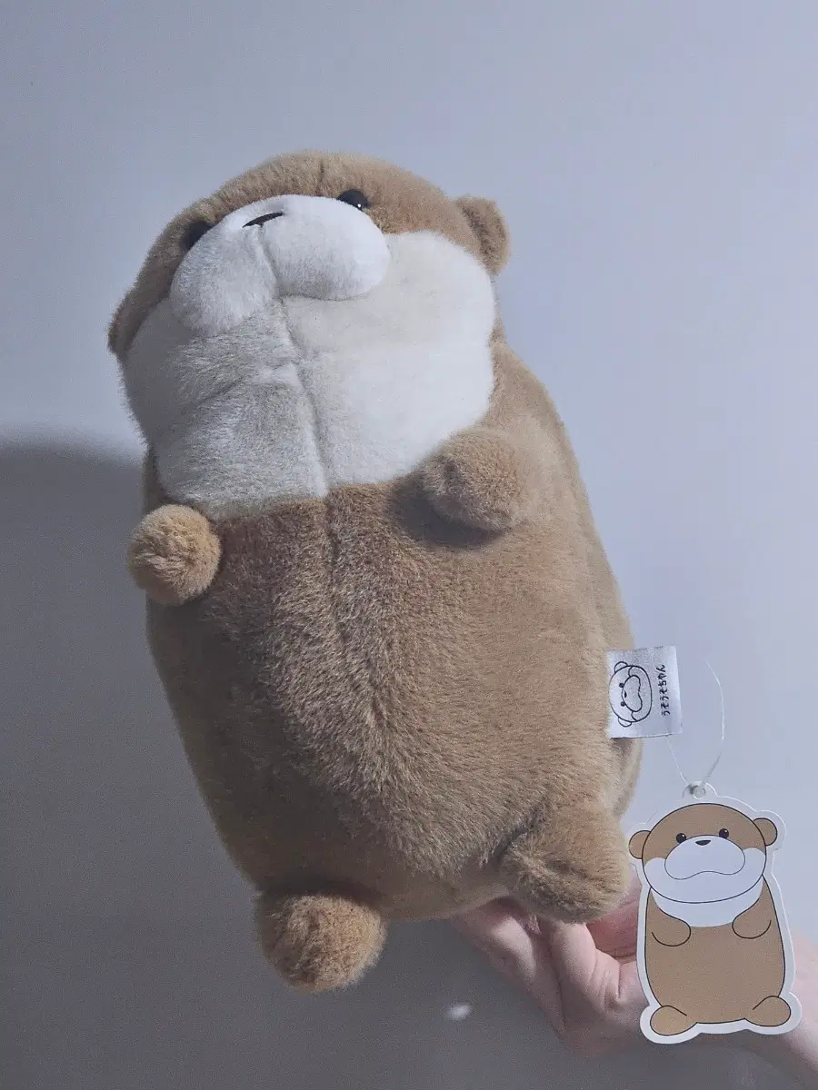 우소우소짱 수달 봉제인형