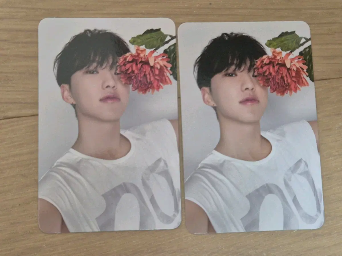 SVT 세븐틴 호시 포카 마에스트로 17 IS RIGHT HERE