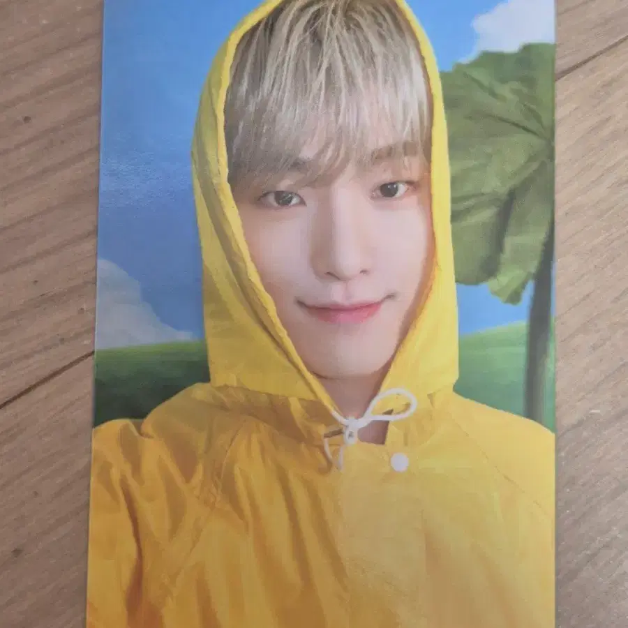 SVT 세븐틴 디노 HEAVEN Carat Ver.