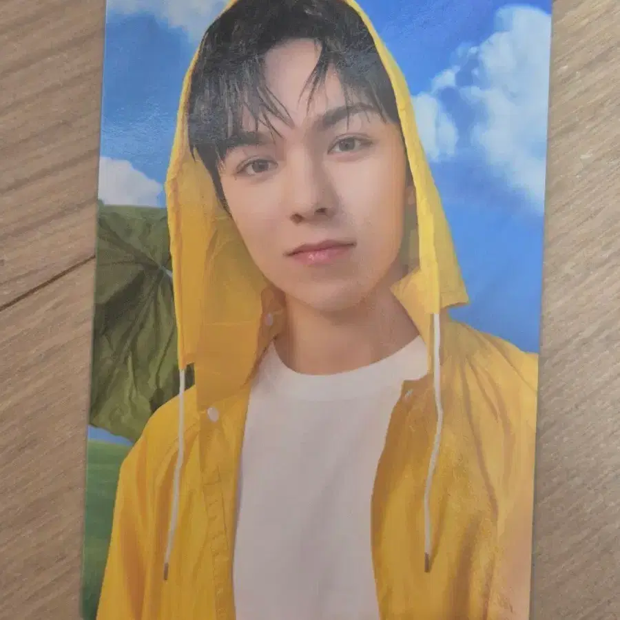 SVT 세븐틴 버논 HEAVEN Carat Ver.