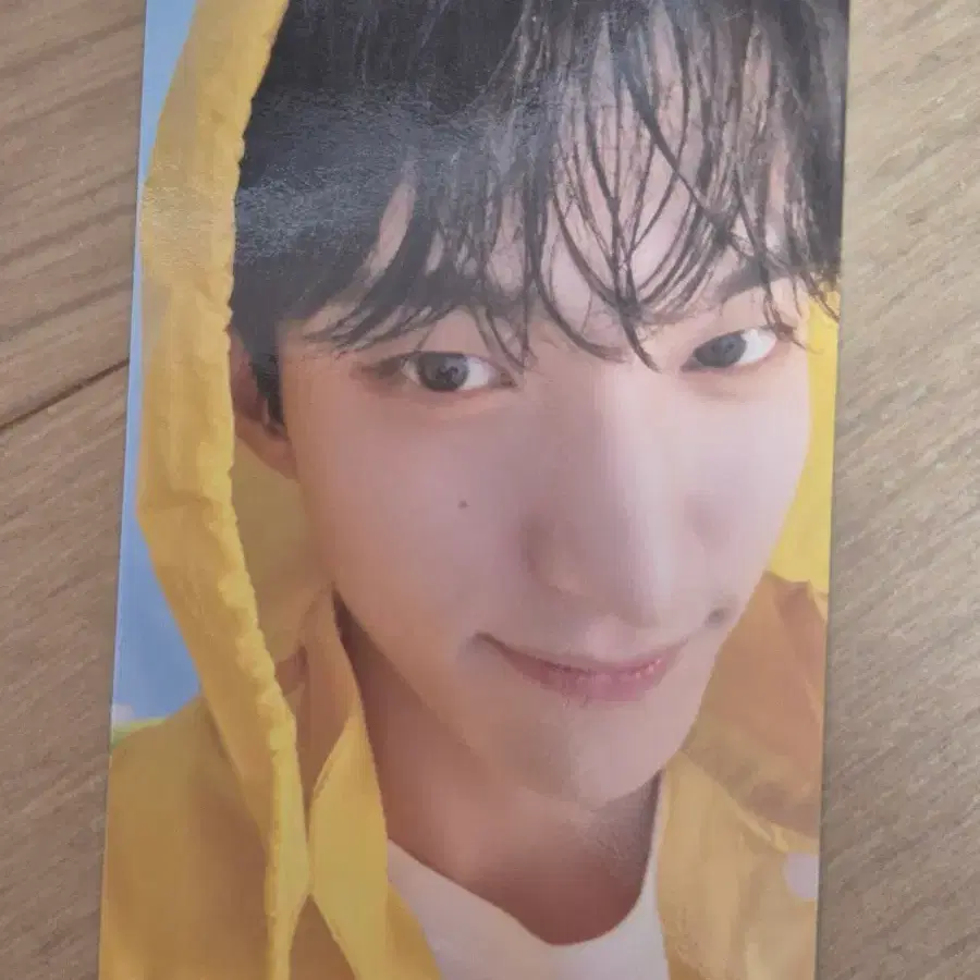 SVT 세븐틴 도겸 HEAVEN Carat Ver.