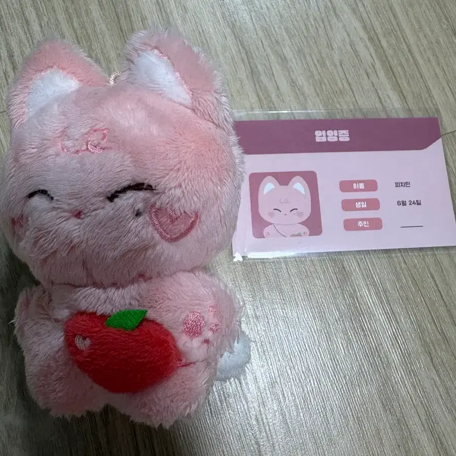 엔하이픈 선우 인형 피치떤 양도 (급처)
