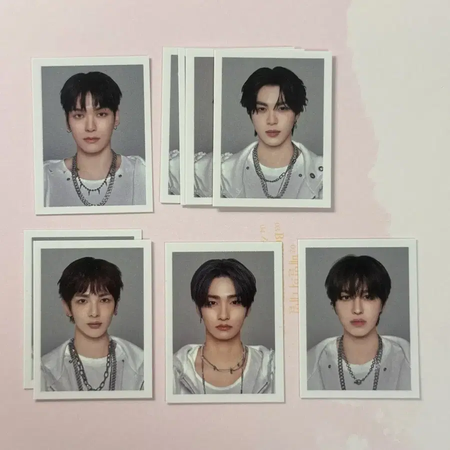 이펙스 7집 증명사진 증사