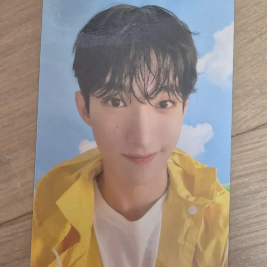 SVT 세븐틴 도겸 HEAVEN Carat Ver.